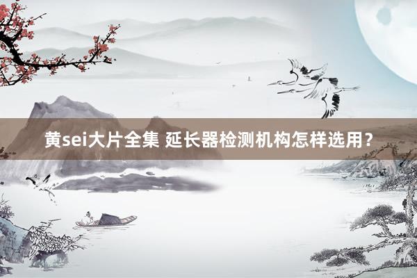黄sei大片全集 延长器检测机构怎样选用？