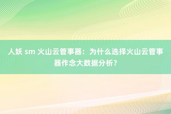 人妖 sm 火山云管事器：为什么选择火山云管事器作念大数据分析？