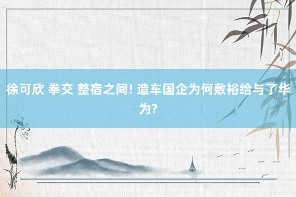 徐可欣 拳交 整宿之间! 造车国企为何敷裕给与了华为?