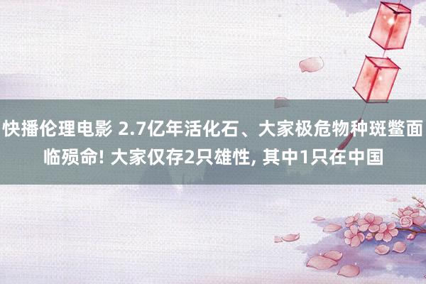 快播伦理电影 2.7亿年活化石、大家极危物种斑鳖面临殒命! 大家仅存2只雄性， 其中1只在中国