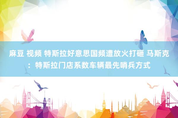 麻豆 视频 特斯拉好意思国频遭放火打砸 马斯克：特斯拉门店系数车辆最先哨兵方式
